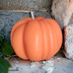 WhatsApp-Image-2023-10-08-at-08.07.50-1