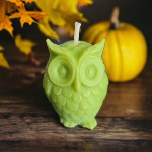 Świeca sojowa - sowa - różne kolory i zapachy
